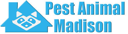 Madison Wildlife and Animal Removal